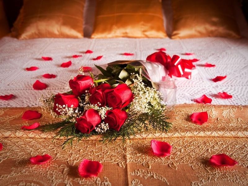 صورة الفندق 14