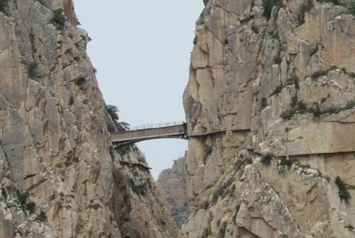صورة الفندق 21