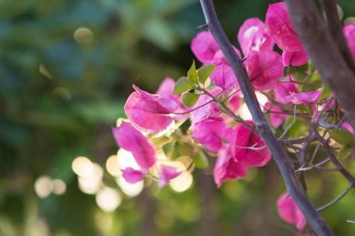 صورة الفندق 15