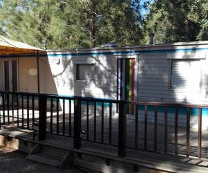 Camping Bungalows Sol D´Or Peniscola Spain