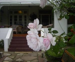 The White House Heritage Guesthouse Nowra Australia