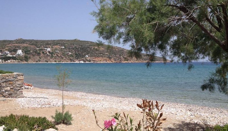 صورة الفندق 9