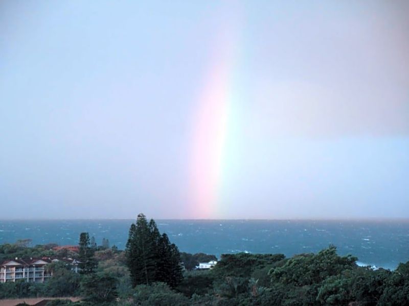 صورة الفندق 16