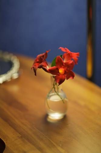 صورة الفندق 17