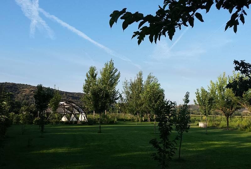 صورة الفندق 12