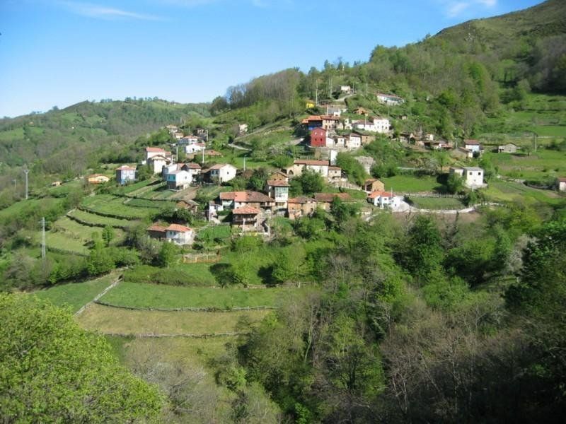 صورة الفندق 9