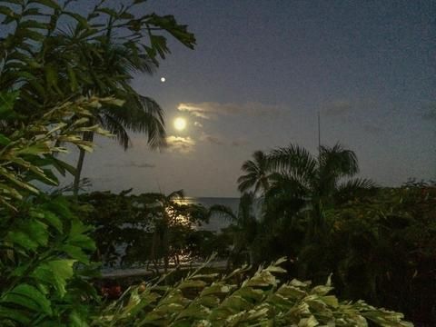 صورة الفندق 14