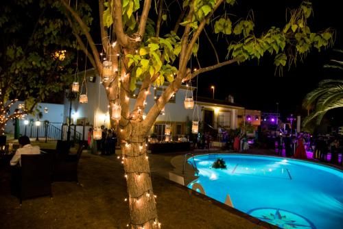 Hotel Photo 24