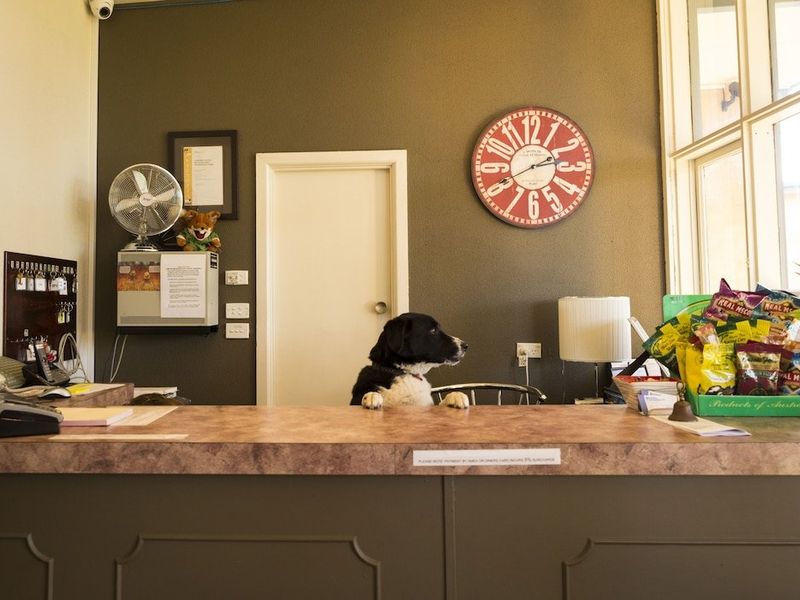 Hotel Photo 15