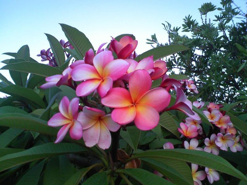 صورة الفندق 17