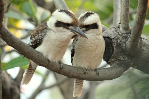 صورة الفندق 19
