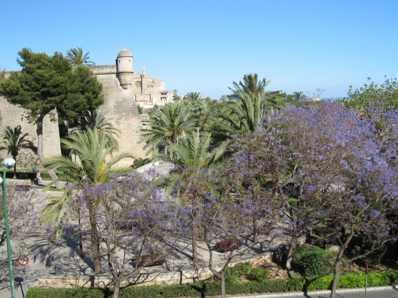 صورة الفندق 20