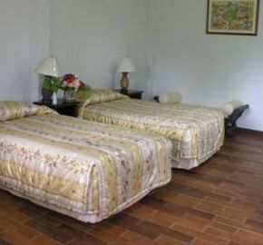 NearBy Hotel