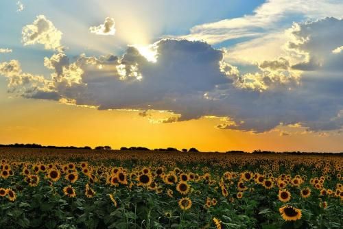 صورة الفندق 19