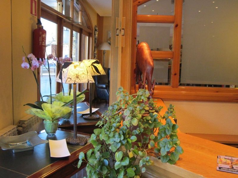 Hotel Photo 12