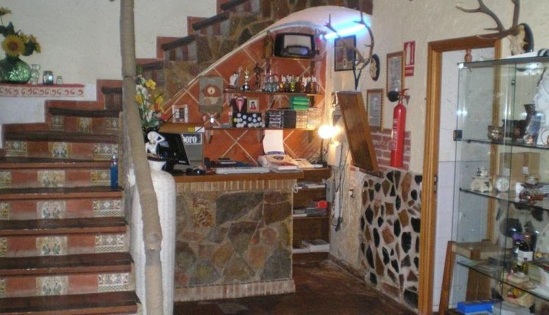 Hotel Photo 13