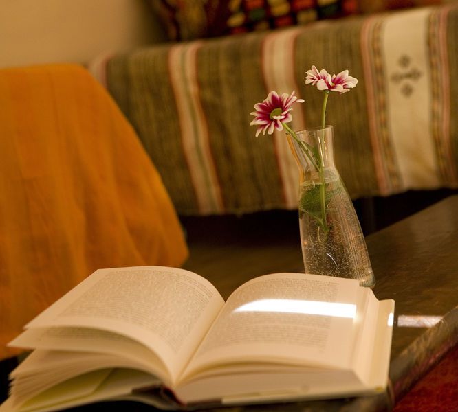 صورة الفندق 11