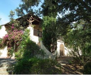 LES BOUGAINVILLÉES Porto-Vecchio France