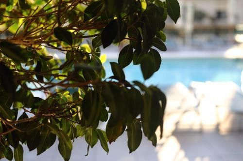 صورة الفندق 19