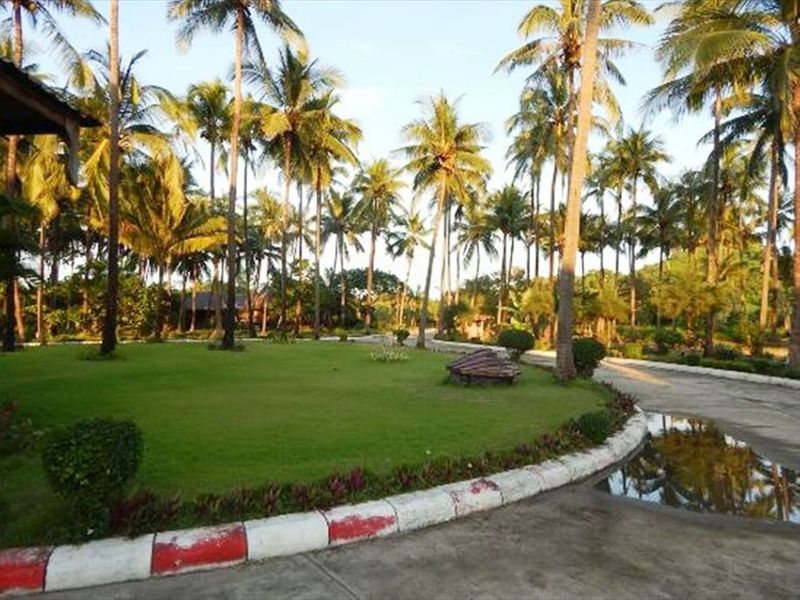 صورة الفندق 13