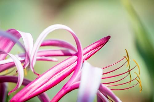 صورة الفندق 13