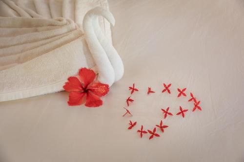 صورة الفندق 8