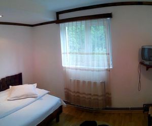 Vila Vanturis Sinaia Romania