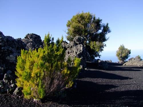 صورة الفندق 15
