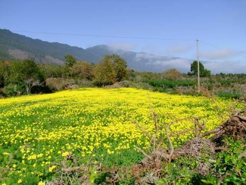 صورة الفندق 17