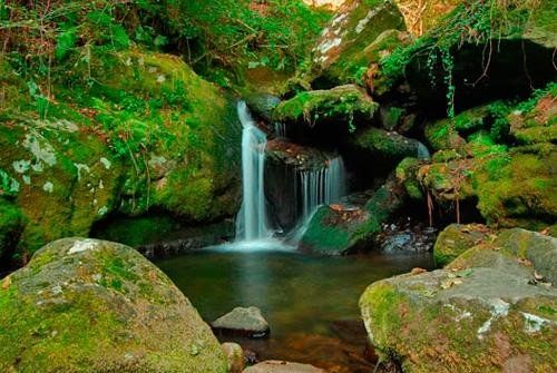 صورة الفندق 20