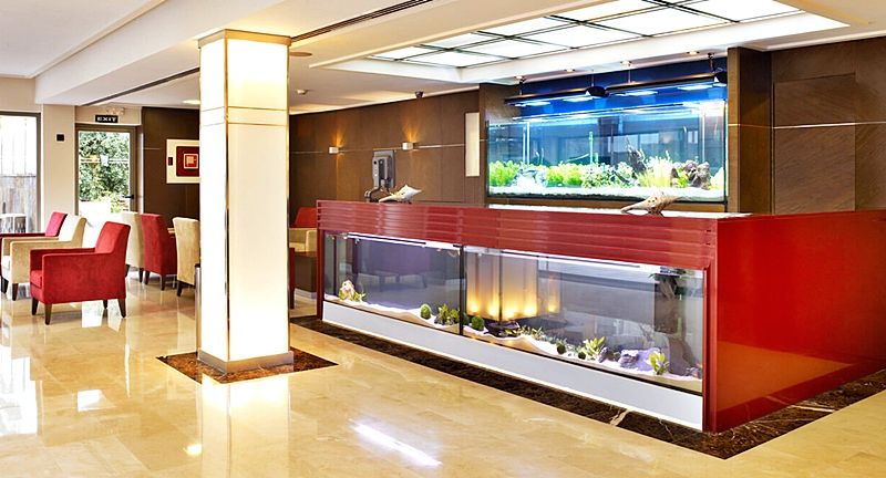 Hotel Photo 13