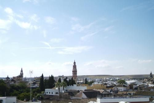 صورة الفندق 24