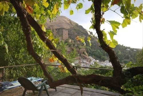 صورة الفندق 16
