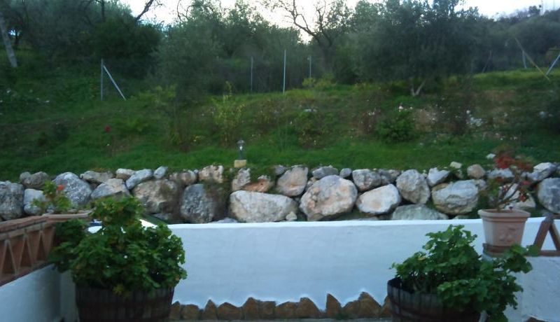 صورة الفندق 15