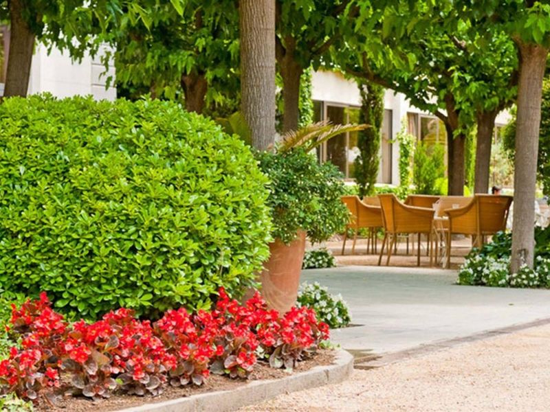 Hotel Photo 20