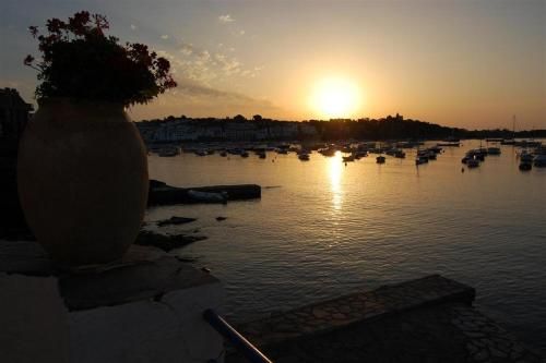 صورة الفندق 20