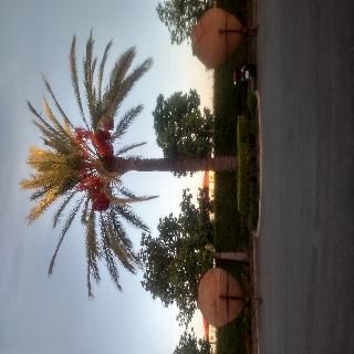 صورة الفندق 15