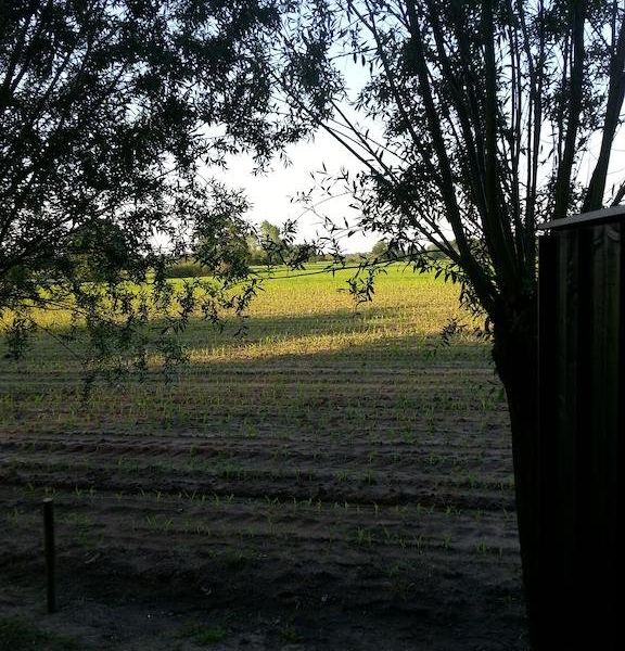 صورة الفندق 12