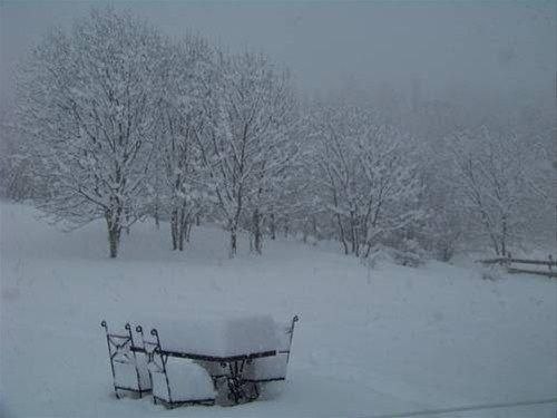صورة الفندق 20
