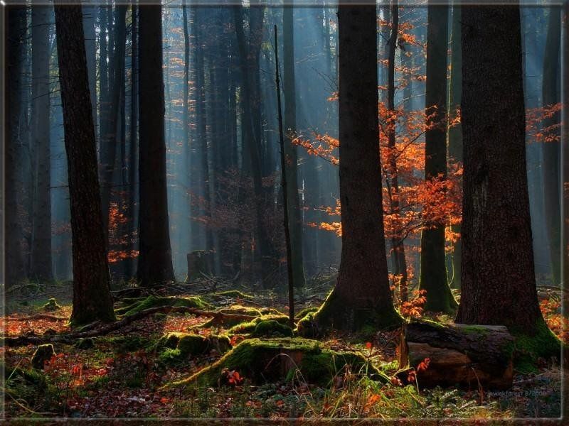 صورة الفندق 15
