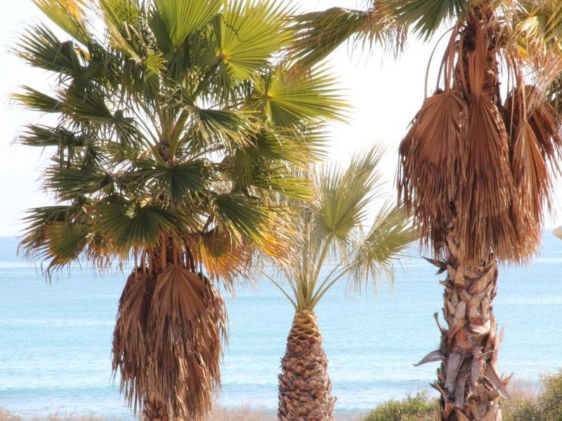 صورة الفندق 22