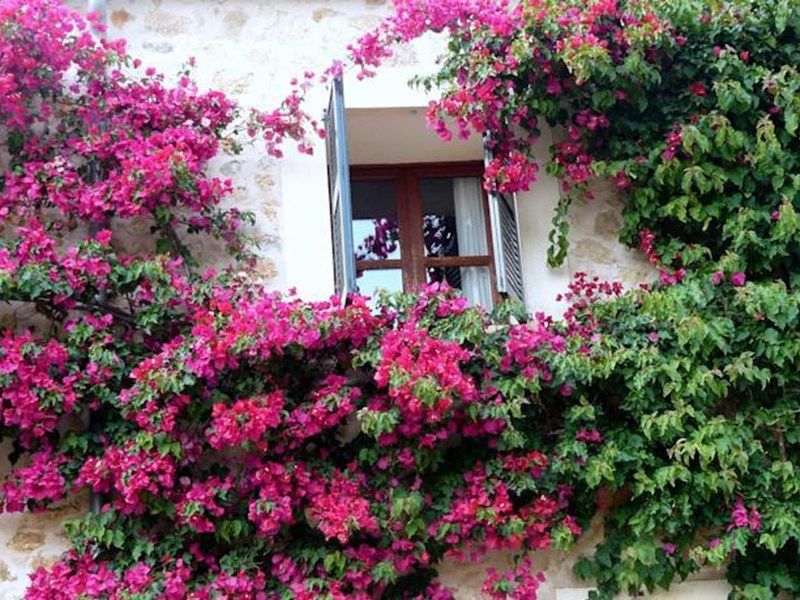 صورة الفندق 18
