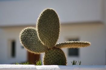صورة الفندق 21