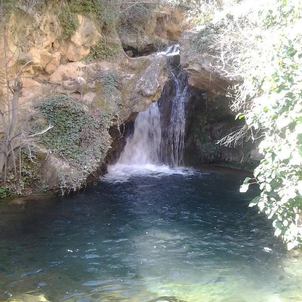 صورة الفندق 21