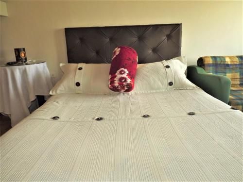 صورة الفندق 3