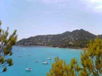 صورة الفندق 18