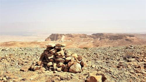 صورة الفندق 19