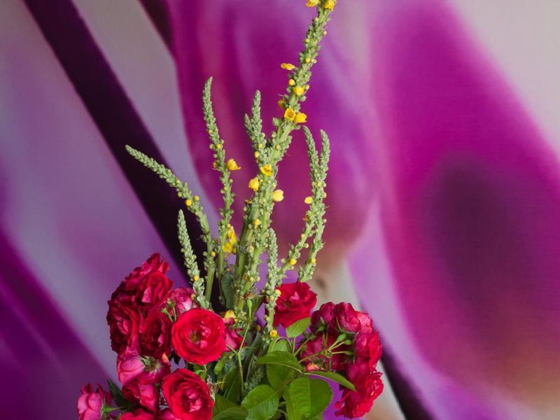 صورة الفندق 19