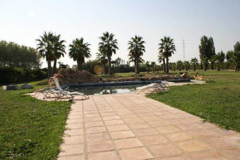 صورة الفندق 19