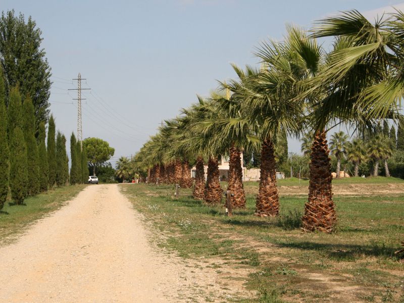 صورة الفندق 21